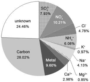 PM10의 이온조성
