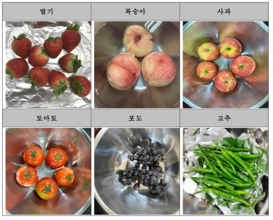 대상 야채 및 과일 사진