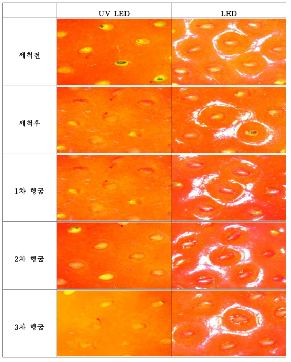 세척제 MIX를 0.2% 세척액을 사용한 딸기의 세척과정 별 표면 사진