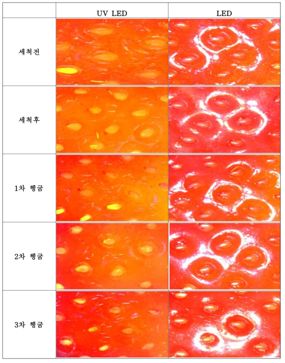 차아염소산나트륨(표준 사용량)을 사용한 딸기의 세척과정 별 표면 사진
