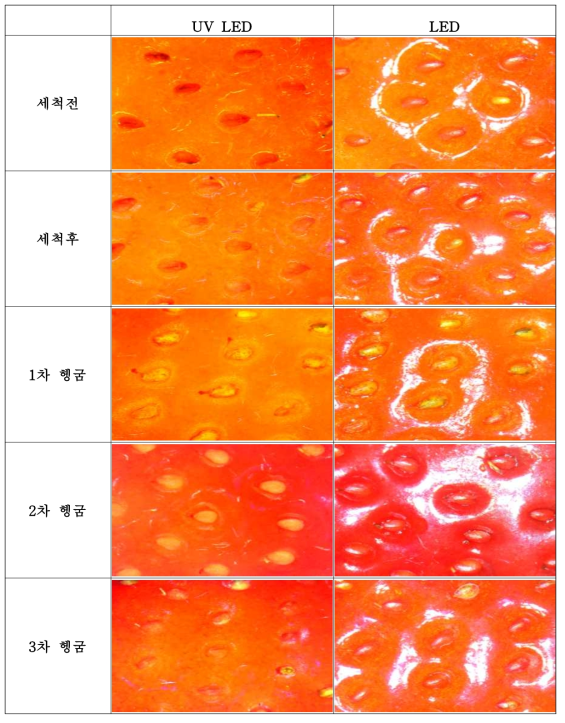 탄산수소나트륨(표준 사용량)을 사용한 딸기의 세척과정 별 표면 사진