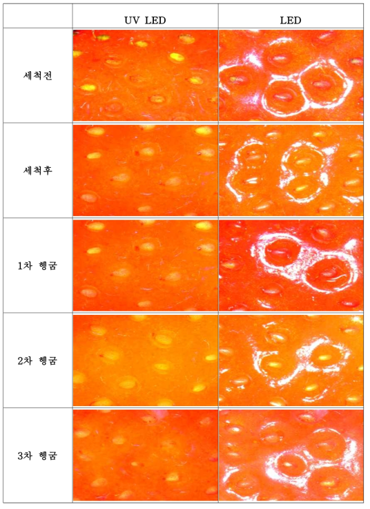 산화칼슘(표준사용량)을 사용한 딸기의 세척과정 별 표면 사진