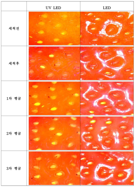 산화칼슘(과다사용량)을 사용한 딸기의 세척과정 별 표면 사진