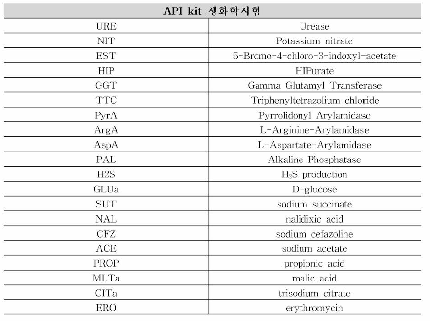 API kit의 생화학적 동정 시 험 항목