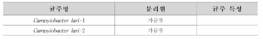 캠필로박터 라리 분리균주 2주에 대한 균주 정보