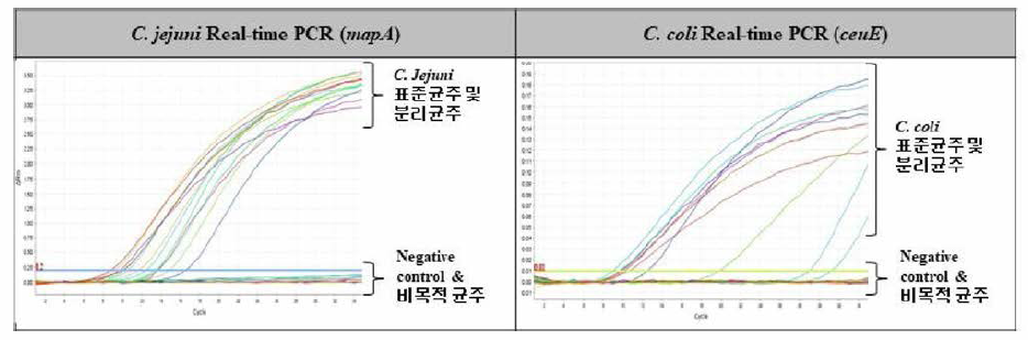 특이도 및 민감도 검토 결과