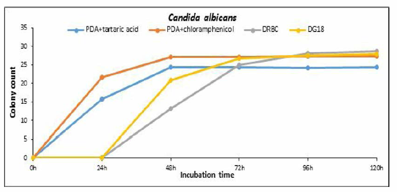 배양시간에 따른 Candida albicans 집락 수 즉정 결과