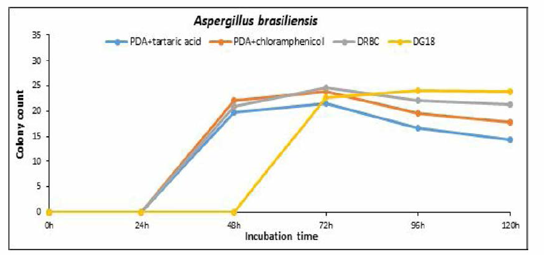 배양시간에 따른 Aspergillus brasiliensis 집락 수 즉정 결과