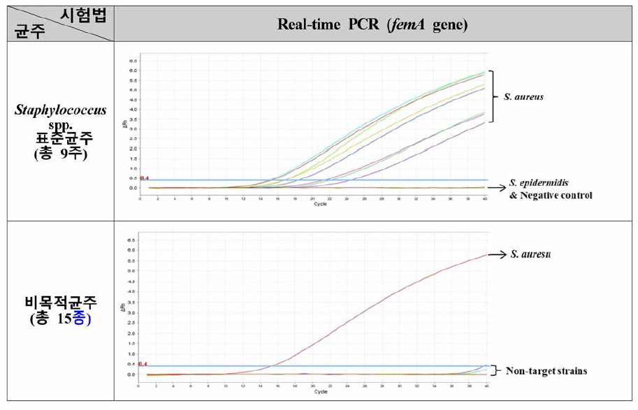 femA gene Real-time PCR(식중독원인조사) 특이도 검토 결과