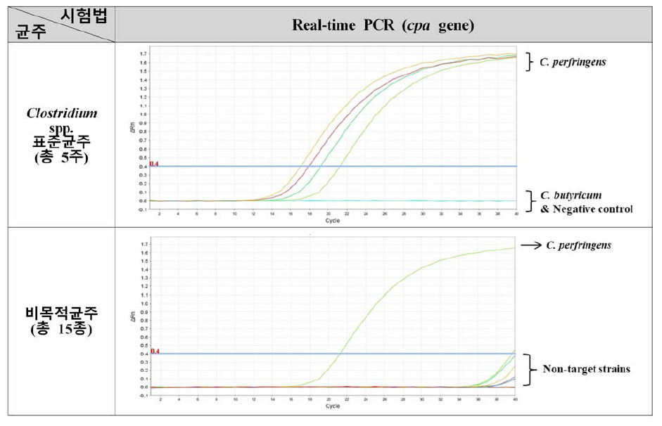 cpa gene Real-time PCR(식중독원인조사) 특이도 검토 결과