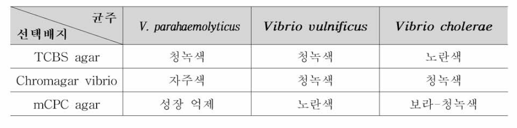 병원성 비브리오 선택배지에 따른 전형적인 집락 색상