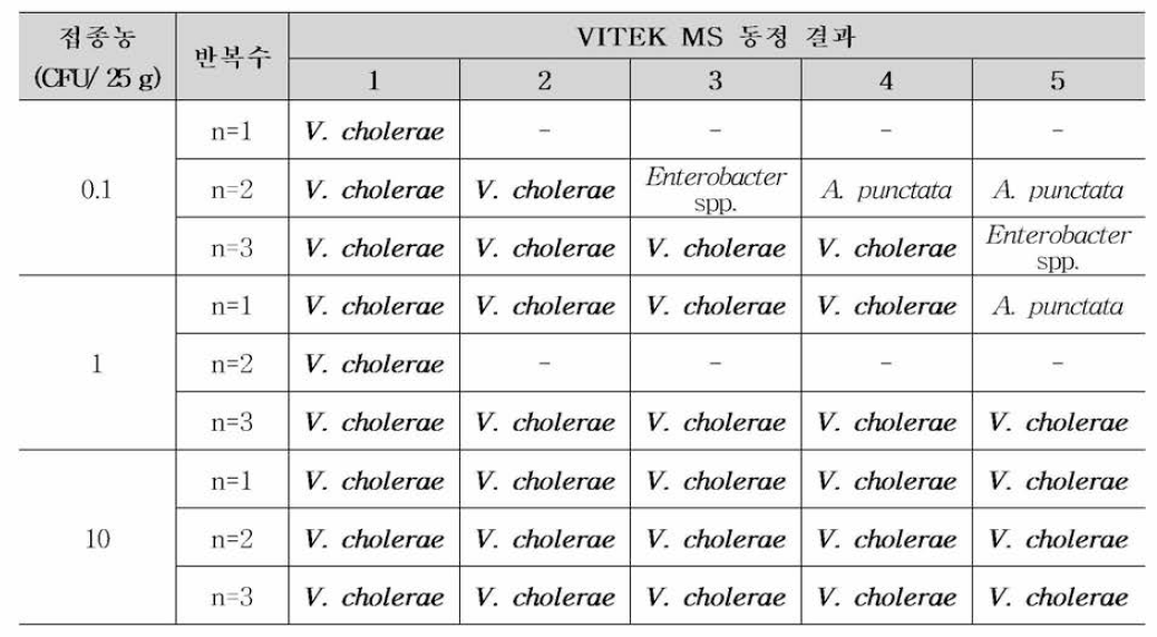 어류(신선) 검체에 대한 비브리오 콜레라 6시간 배양 후 VITEK MS를 통한 전형적인 집락 동정 결과