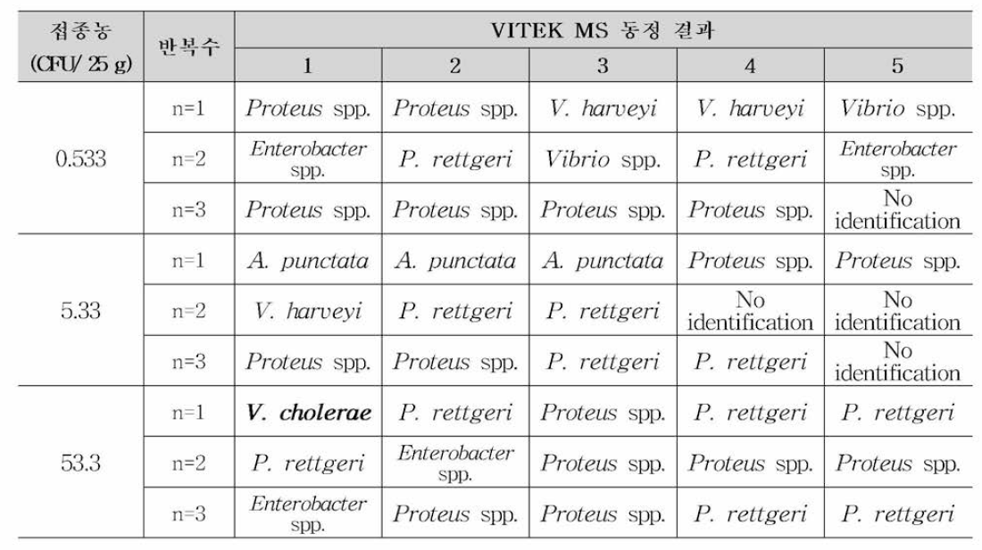어류(신선) 검체에 대한 비브리오 콜레라 18시 간 배양 후 VITEK MS를 통한 전형적인 집락 동정 결과