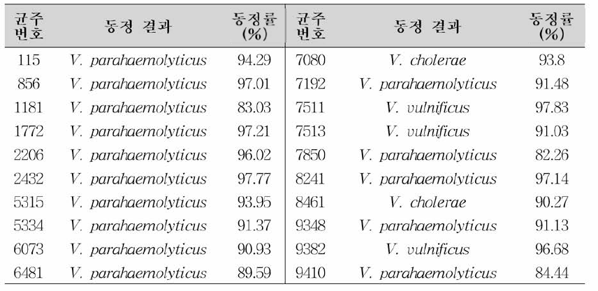 유전학적 동정 결과