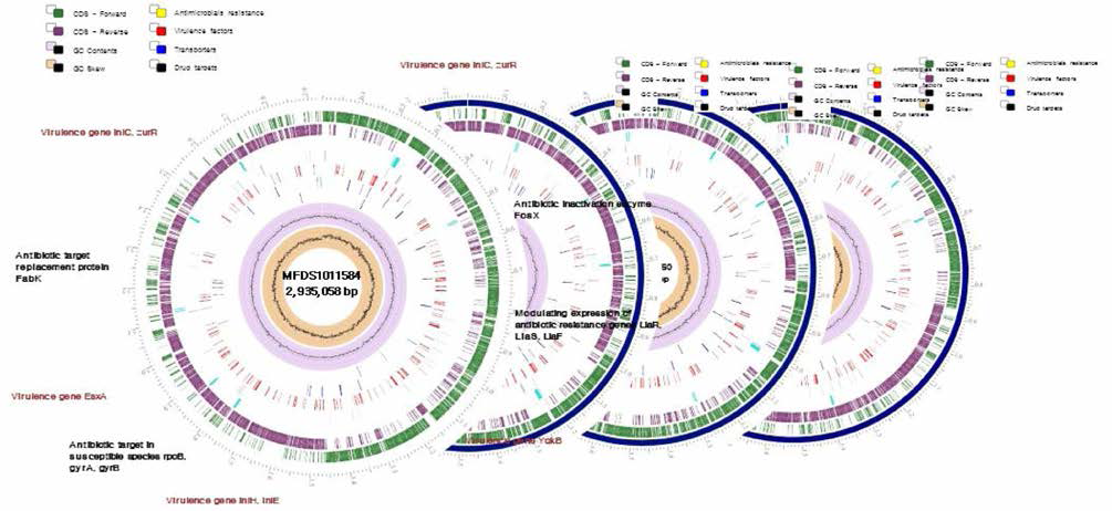 Complete genome sequence 결과