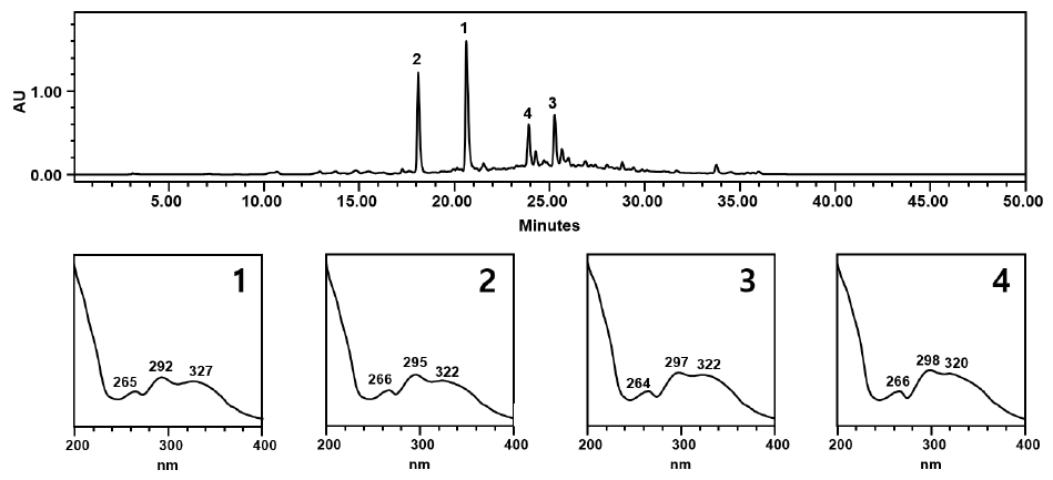 카스카라사그라다 물 가용물의 HPLC-PDA 크로마토그램. Peak 1: cascaroside B; Peak 2: cascaroside A; Peak 3: cascaroside D; Peak 4: cascaroside C