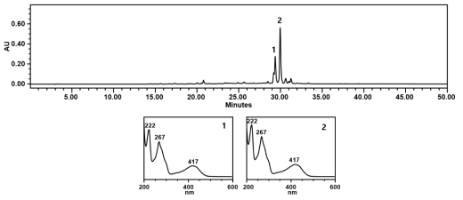 후랑그라의 부탄올 가용물의 HPLC-PDA 크로마토그램. Peak 1: glucofrangulin B; Peak 2: glucofrangulin A