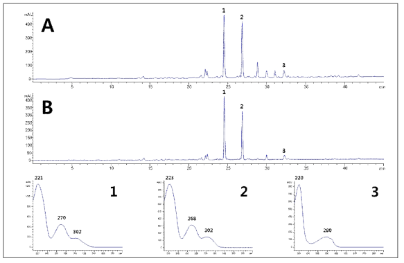 무이라 푸아마 메탄올 추출물 및 물 가용물에 대한 HPLC-PDA 크로마토그램(검출파장 254 nm). A: 무이라 푸아마 메탄올 추출물의 HPLC-PDA 크로마토그램; B: 무이라 푸아마 물 가용물의 HPLC-PDA 크로마토그램; Peak 1: magnoflorine; Peak 2: menispermine; Peak 3: N-malonyl-L-tryptophan