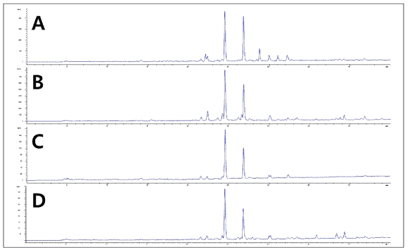 각 업체에서 구매한 무이라 푸아마의 메탄올 추출물 HPLC-PDA 크로마토그램(검출파장 254nm). A: Pure Gaia Essence사 무이라 푸아마; B: 허브마을사 무이라 푸아마; C: Nature’s Answer사 무이라 푸아마 틴크; D: Nature’s Answer사 무이라 푸아마 (캡슐)