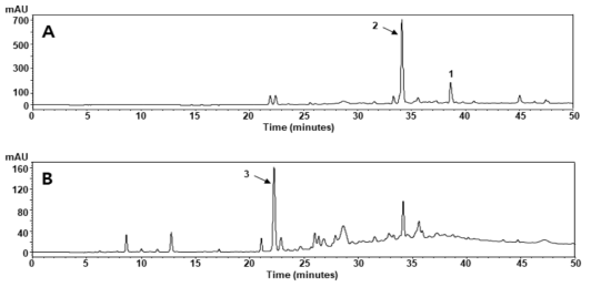 Tejocote의 에틸아세테이트와 부탄올 가용물에 대한 HPLC-PDA 크로마토그램. A: 에틸아세테이트 가용물의 HPLC-PDA 크로마토그램; B: 부탄올 가용물의 HPLC-PDA 크로마토그램. Peak 1: (-)-epicatechin; Peak 2: cinnamtannin B1; Peak 3: pavetannin C2