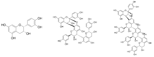 화합물 1-3의 구조; (-)-epicatechin (1), cinnamtannin B1 (2), pavetannin C2 (3)