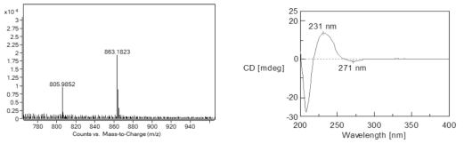 Tejocote로부터 분리한 Cinnamtannin B1의 negative ion ESI-Q-TOF-MS spectrum (좌) 및 CD spectrum (우)