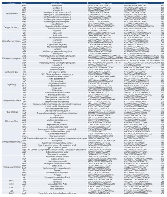 Virulence factor primer 정보