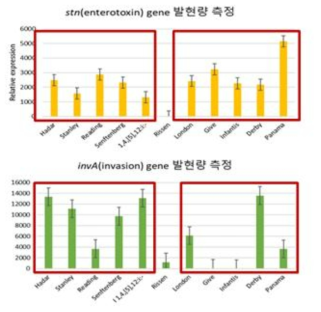 PCR 기반 Salmonella spp.에서 유해인자 존재 유무 확인