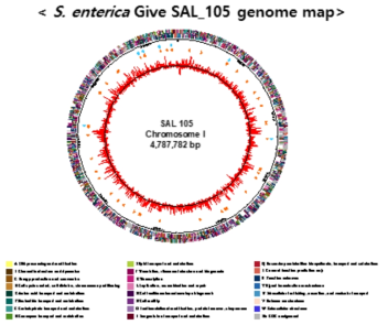 표준전장유전체 분석 genome map 예시