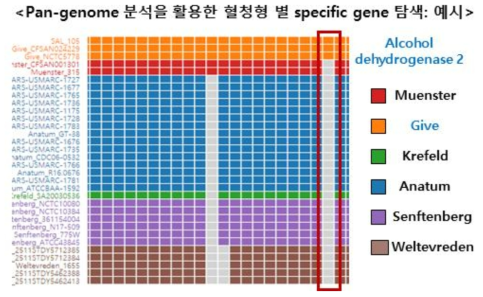 Pan-genome 분석을 활용한 혈청형 별 specific gene 탐색 예시