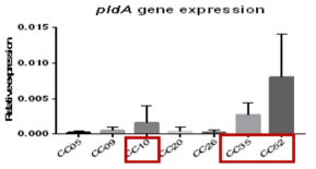qRT-PCR 기반 C. coli에서 유해인자 발현량 확인