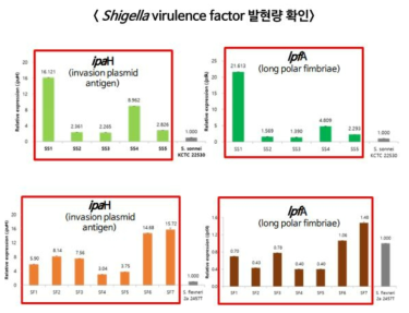 qRT-PCR 기반 S. sonnei, S. flexneri 에서 유해인자 발현량 확인