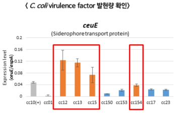 qRT-PCR 기반 C. coli 에서 유해인자 발현량 확인