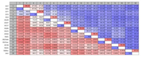 rfb gene cluster 기반 %identity 수치