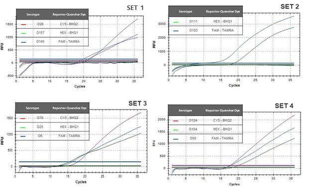 Real-Time PCR kit 결과 예시