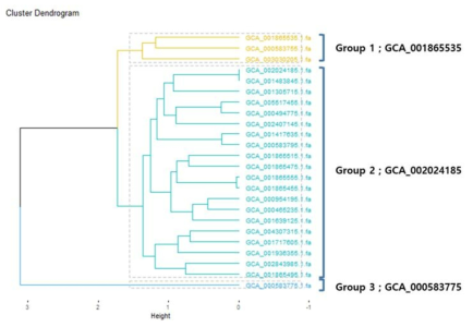 Campylobacter coli 의 ANI Tree 및 Grouping