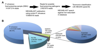 Metagenomic sequencing을 이용한 병원성균주 발견