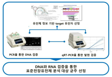 표준전장유전체 분석 대상 균주 선정 방법