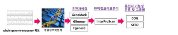 유전체 분석 및 기능예측