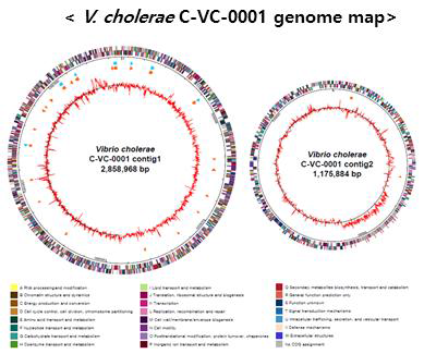 표준전장유전체 분석 genome map 예시