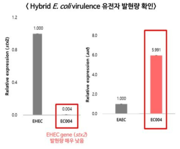 qRT-PCR 기반 hybrid E. coli 에서 유해인자 발현량 확인