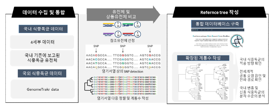 식중독균 전장유전체 비교 분석 방법 및 Refernce Tree 작성법 예시