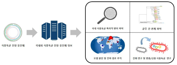 국내외 식중독균 단일염기다형성 자료 분석을 통한 활용 방안