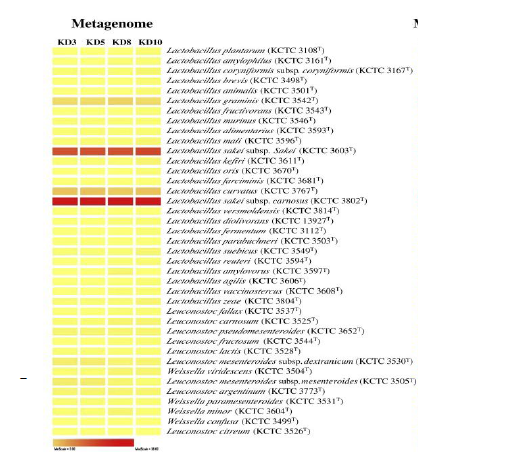 배추 김치 발효 중 microbial diversity (Nam et al. Int. J. Food Microbiol. 2009)