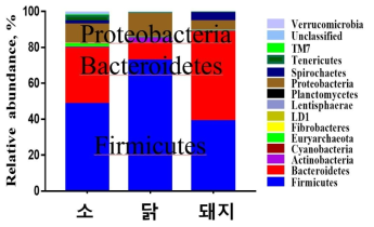 개체군간의 taxonomic composition 차이 비교 (Phylum)