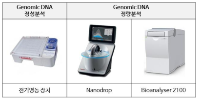 식중독 균주 gDNA 정성 및 정량분석 장비