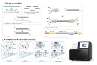 시퀀싱 과정 및 sequencer