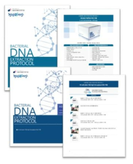 전장 유전체 염기서열 분석을 위한 genomic DNA 분리 정제방법 protocol 구축