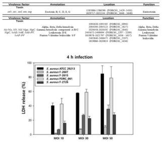 Stapylococcus aureus FORC_061 의 major virulence factor 및 LDH assay (예시)