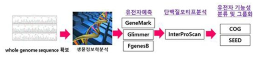 유전체 분석 및 기능예측